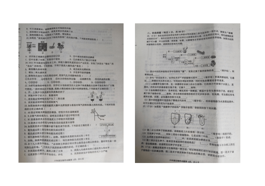 山东省淄博市沂源县2020-2021学年六年级下学期期末生物试题（图片版，含答案）