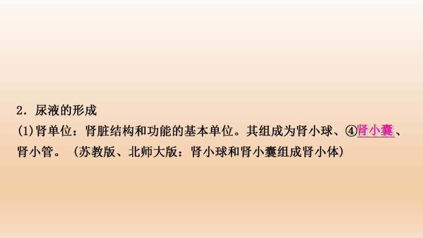 2023年中考生物复习专题★★人体代谢废物的排出.ppt(共27张PPT)