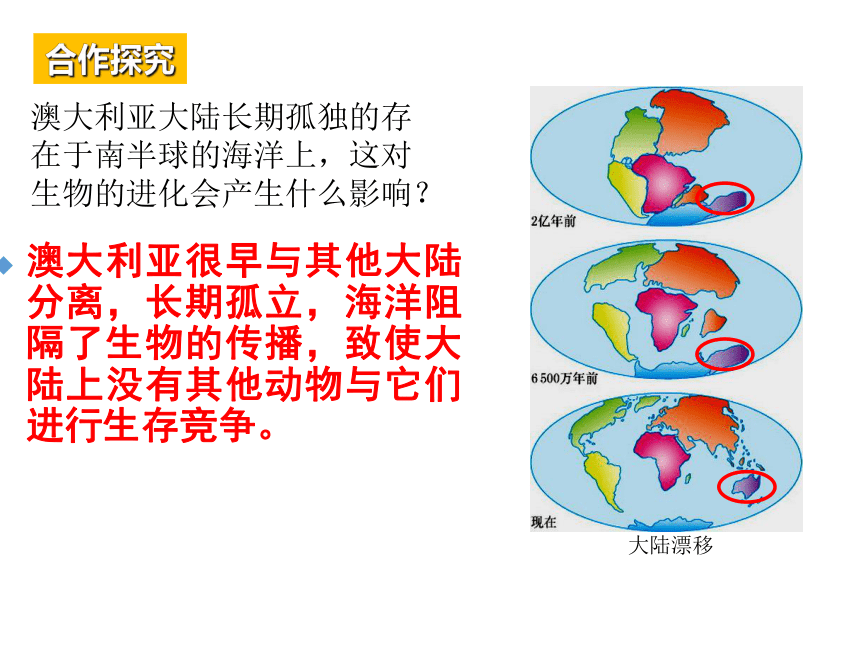 8.4 澳大利亚课件(共19张PPT)2023-2024学年人教版七年级下册地理