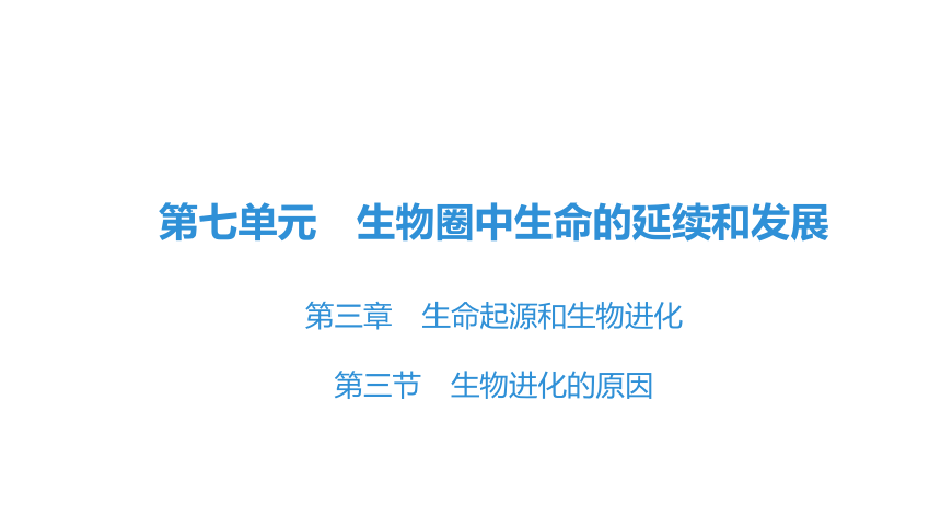 7.3.3 生物进化的原因 课件(共30张PPT)2023年春人教版八年级生物下册