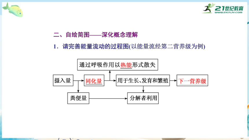 高三生物三轮复习专项突破13  生态系统的结构与功能（共29张PPT）