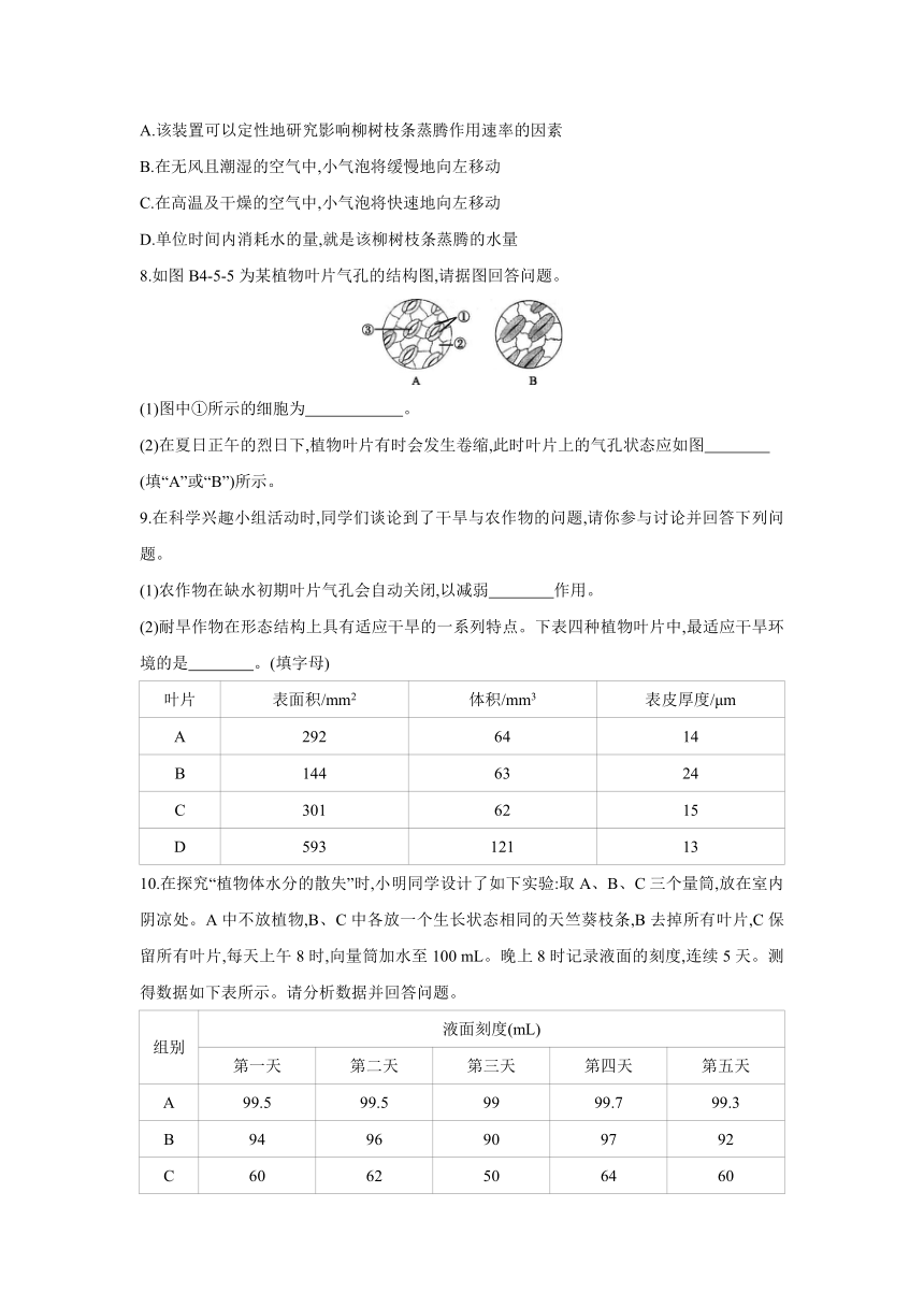 浙教版科学八年级下册同步练习：4.5　植物的叶与蒸腾作用（含答案）