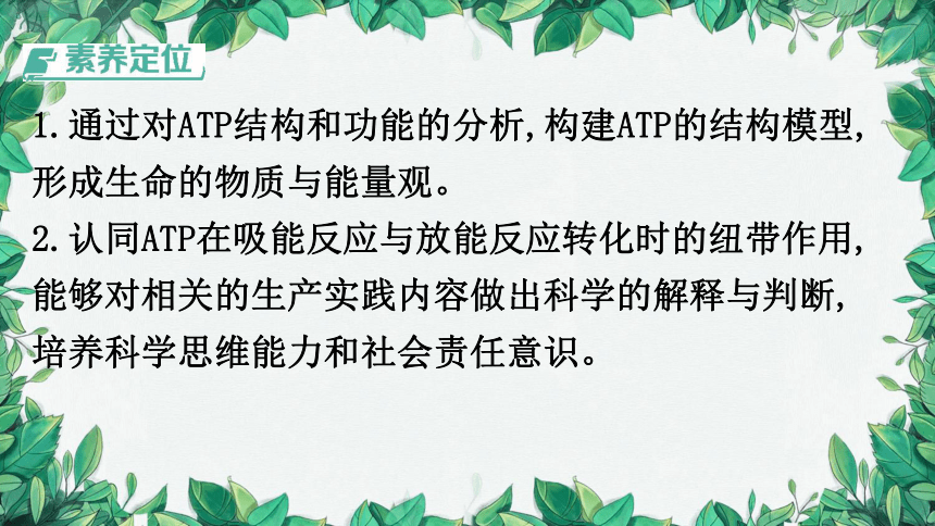 浙科版（2019）生物必修一 第三章第一节 ATP是细胞内的“能量通货”课件(共31张PPT)