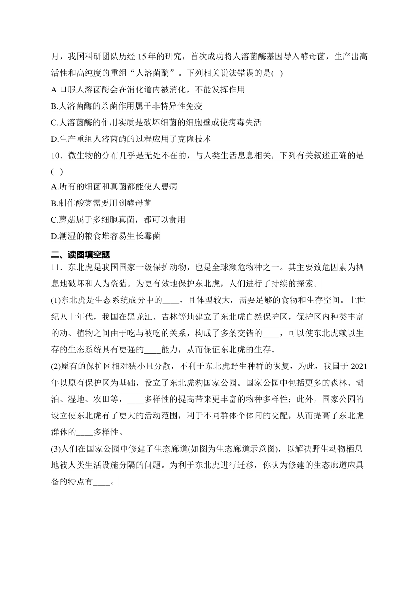 2024届湖北省中考生物模拟五月冲刺卷 (含解析)【湖北专用】