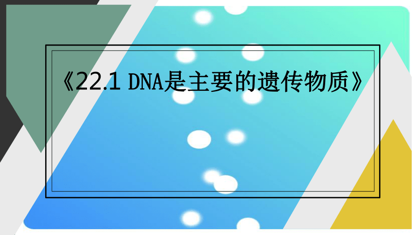 8.22.1 DNA是主要的遗传物质课件(共30张PPT)2023--2024学年苏教版生物八年级下册