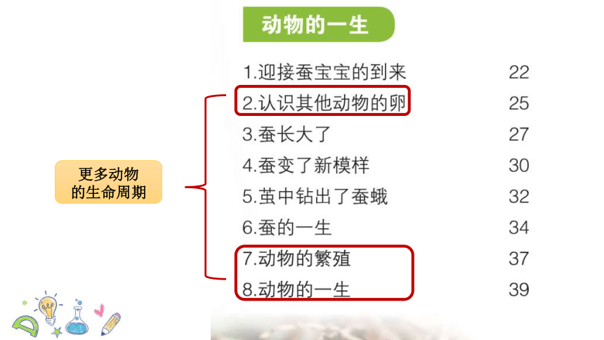 教科版小学科学三年级下册《动物的一生》单元复习PPT（39张）