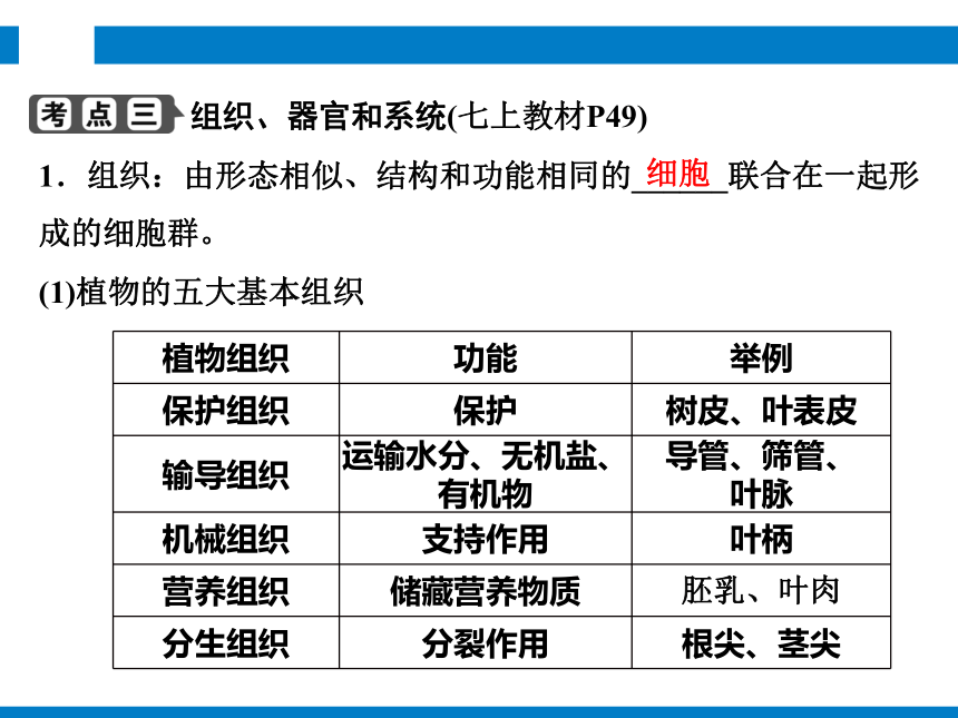 2024浙江省中考科学复习 第2讲　生物体的结构和层次（课件 48张PPT）