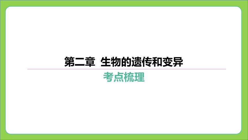 第一篇 第六单元 第二章 生物的遗传和变异  课件(共43张PPT) 2024中考生物北师版总复习专题突破(冀少版)