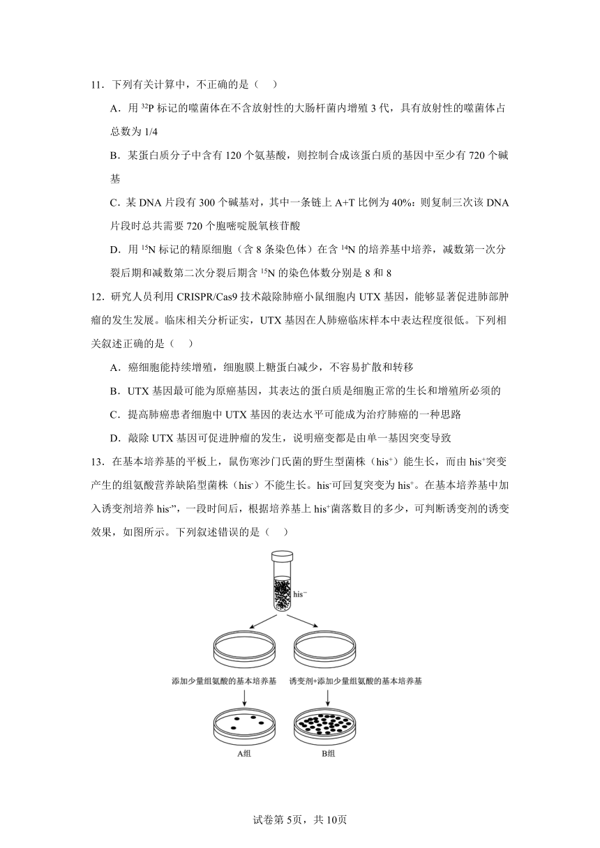 2023-2024学年湖南省长沙市浏阳市重点校联考高一下学期期中生物测试卷（含答案）