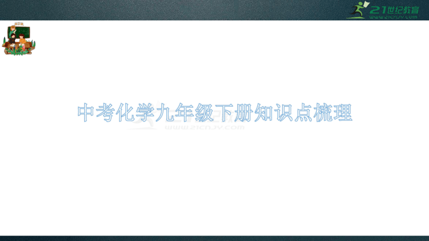 人教版中考化学九年级下册知识点总复习 课件63页