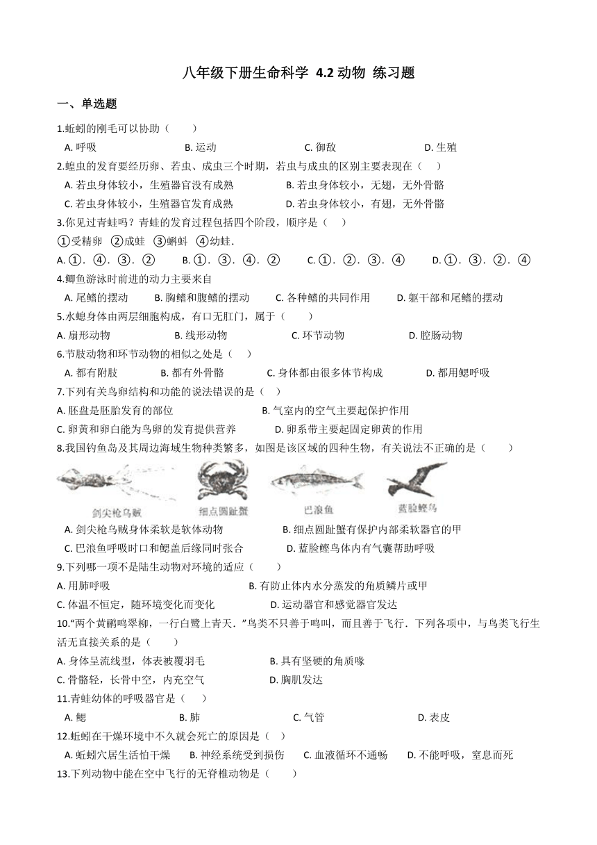 沪教版八年级下册生命科学 4.2动物 练习题（含答案）