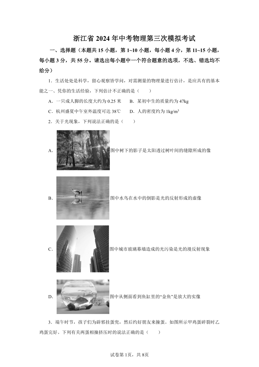 浙江省2024年中考物理第三次模拟考试（有解析）