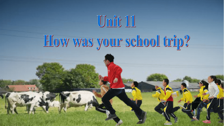 (新课标) Unit 11 Section B 2a-2c 课件 （新目标英语七下 Unit 11 How was your school trip?）