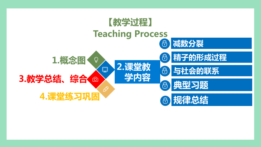 2.1 减数分裂和受精作用（第1课时） 课件(共52张PPT) 2023-2024学年高一生物人教版（2019）必修2