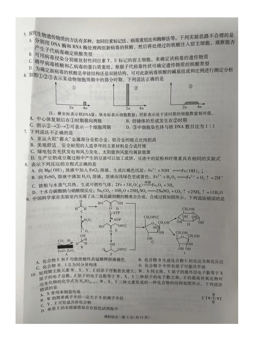 宁夏银川一中、云南省昆明一中2024届高三下学期联合考试二模理综试卷（图片版含答案）