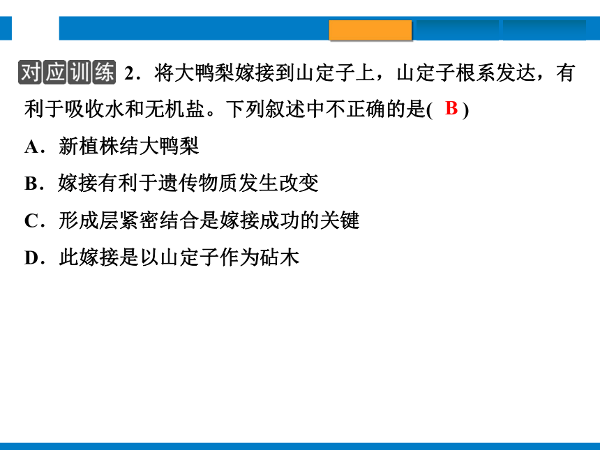 2024浙江省中考科学总复习第4讲　植物的生殖和发育　细菌、真菌的繁殖（课件 32张PPT）