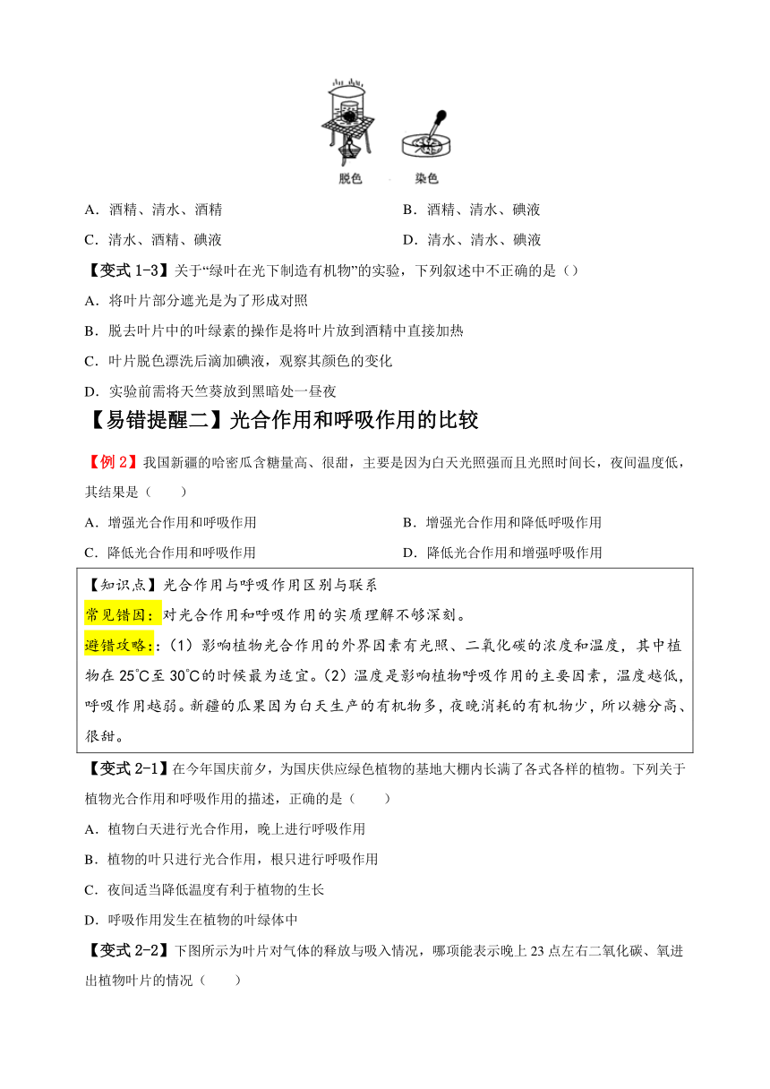 易错点05 绿色植物的三大生理作用-备战2024年中考生物易错题（含解析）