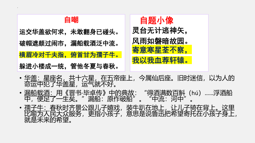 6.1《记念刘和珍君》课件（共57张PPT）2023-2024学年统编版高中语文选择性必修中册