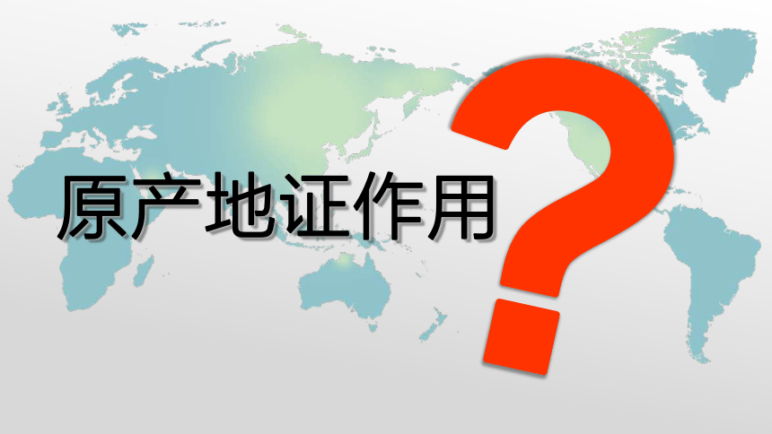 7.1产地证的含义及作用 课件(共19张PPT)《外贸单证实务》同步教学（高教版）