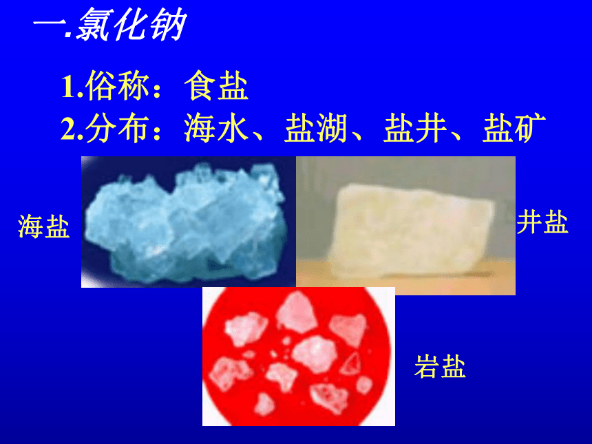 京改版九年级下册化学 12.1几种常见的盐 课件(29张PPT)