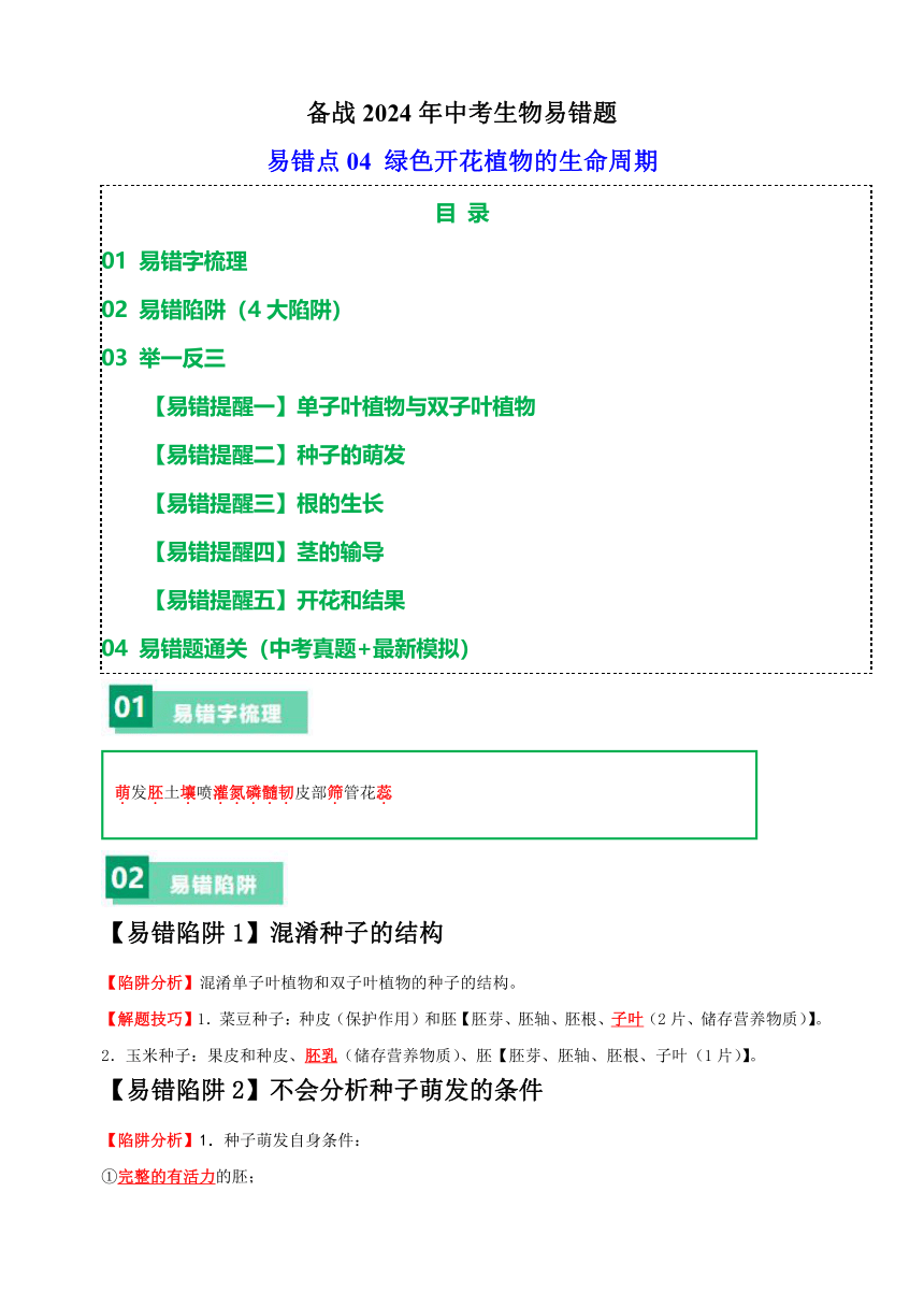 易错点04 绿色开花植物的生命周期-备战2024年中考生物易错题（含解析）