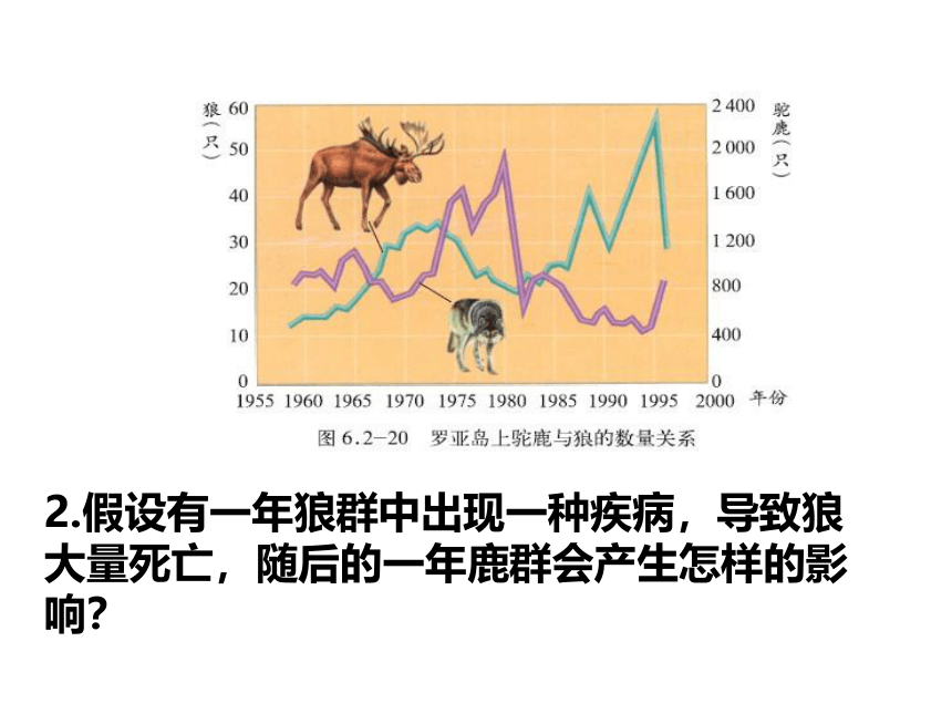 济南社八年级下册生物  6.2.5生态系统的自我调节 课件(16张PPT)