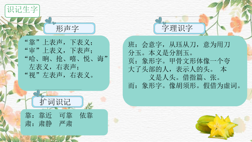 13 画杨桃 课件(共18张PPT)