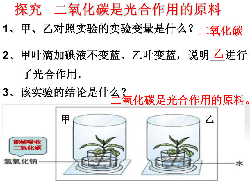 六年级下学期生物 第一节光合作用吸收二氧化碳释放氧气课件(共21张PPT)