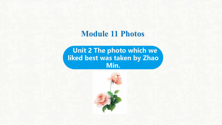Module 11 Unit 2 The photo which we liked best was taken by Zhao Min.课件(共25张PPT) 外研（新标准）版九年级上册