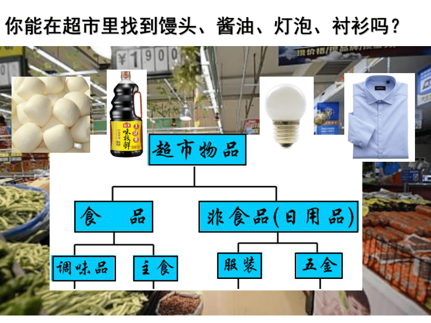 北师大版八年级下册生物 22.1生物的分类 课件 (共28张PPT)