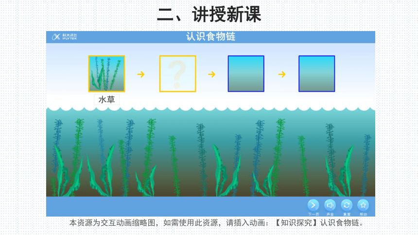 北师大版生物八年级下 第3节 生态系统的结构和功能 第1课时 课件 (共23张PPT)