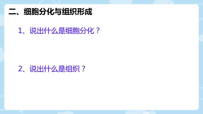 2.3.3  细胞的分裂与分化  课件(共24张PPT)2023-2024学年苏教版生物七年级上册