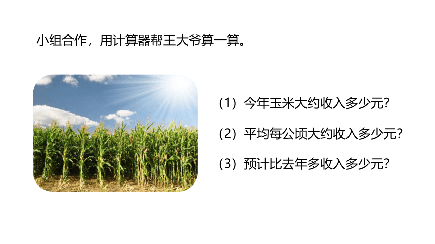 冀教版数学五年级上册第7单元土地的面积  估算玉米收入课件（22张PPT)