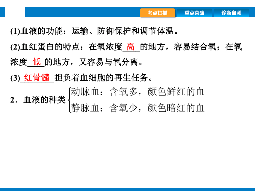 2024浙江省中考科学复习第7讲　动物的新陈代谢（2）（课件 44张PPT）