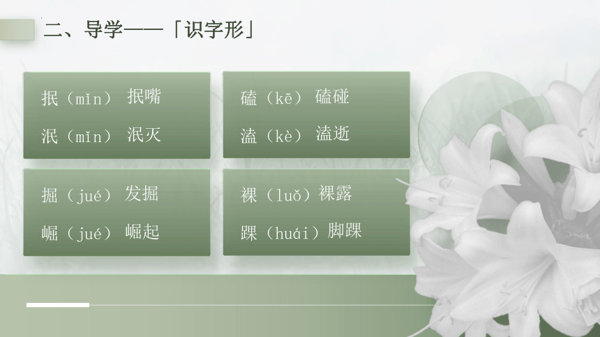 3.1《百合花》课件（共30张PPT）  2023-2024学年统编版高中语文必修上册