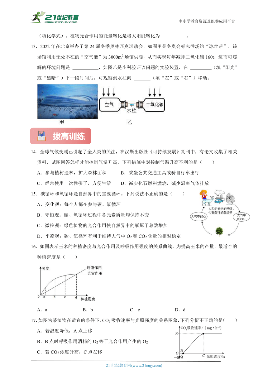 浙教版八下科学期中专题12 光合作用与碳氧循环（含答案）