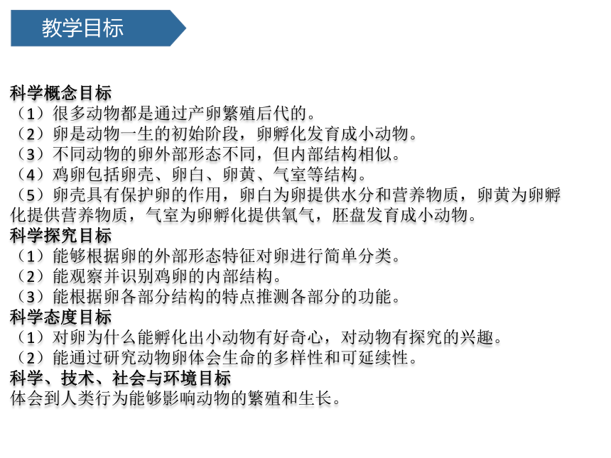 2.2认识其他动物的卵  (课件共14张PPT)