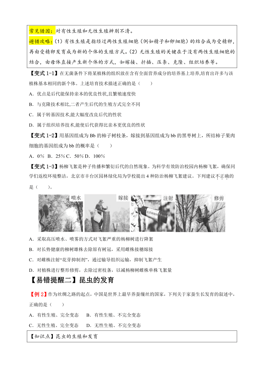 易错点10 生物的生殖和发育-备战2024年中考生物易错题（含解析）