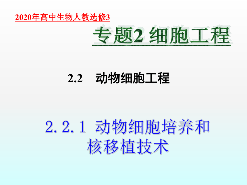 2020年高中生物人教选修3专题2课件：2．2．1 动物细胞培养和核移植技术（共48张PPT）