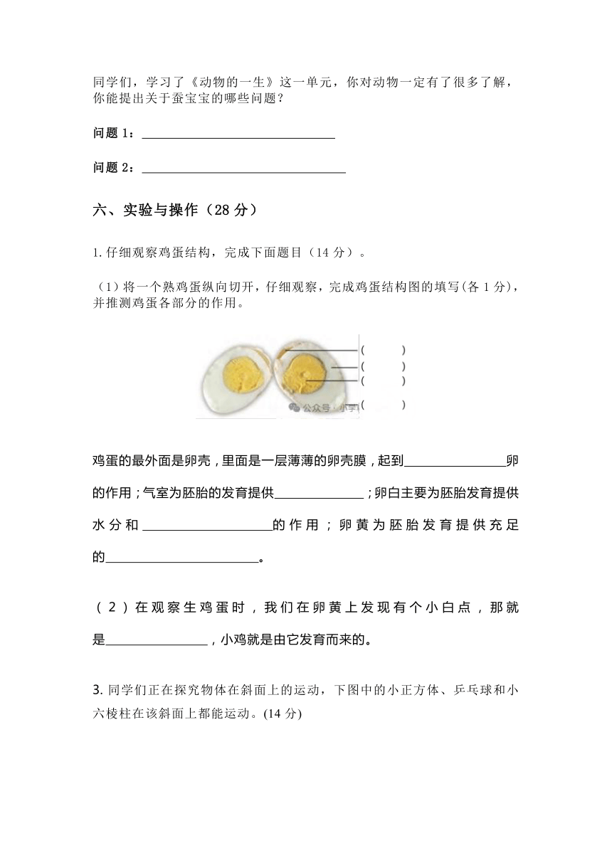 北京市西城学校三年级科学期中测试练习卷（含答案）