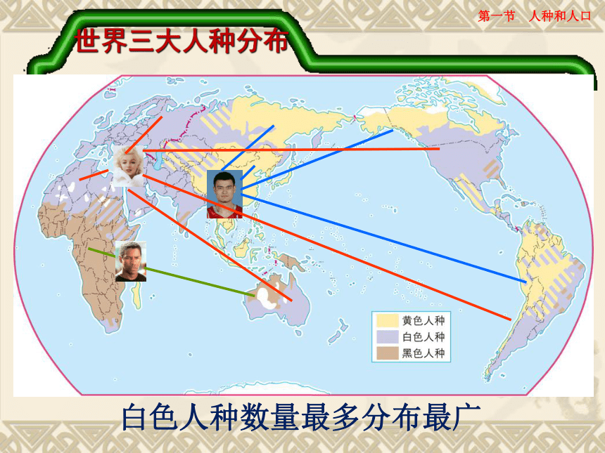 中图地理八年级上册3.1-人种和人口(共21张PPT)