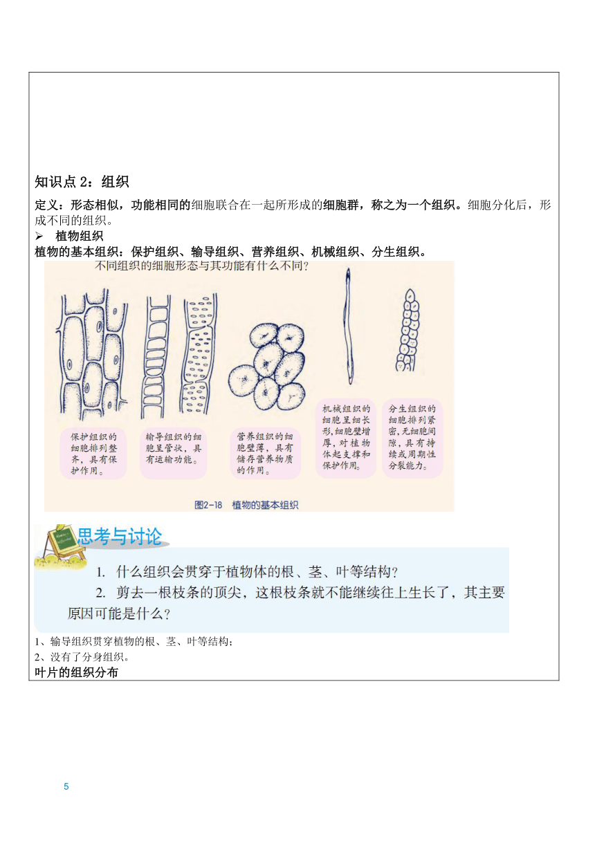 2.3 生物体的结构层次 知识点辅导讲义