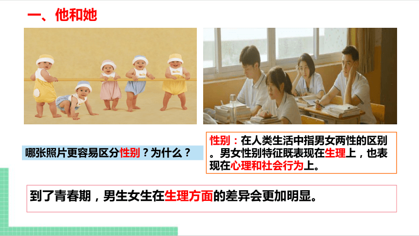 （核心素养目标）2.1 男生女生 课件（共20张PPT） 统编版道德与法治七年级下册