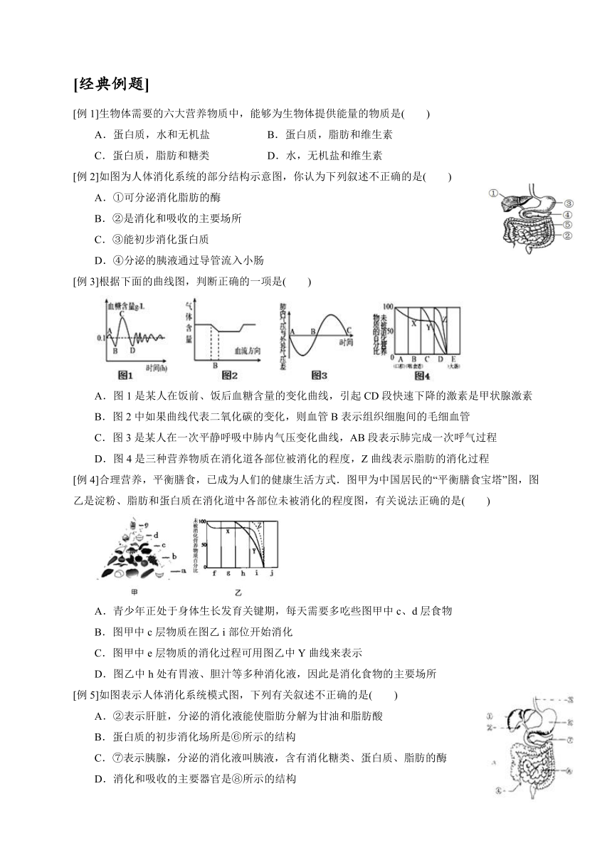 浙教版科学八升九暑假同步提高专题讲义（机构用）第12讲   食物的消化与吸收（含答案）