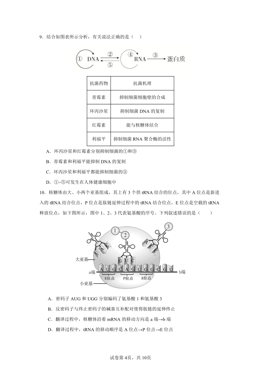 2023-2024学年湖南省长沙市浏阳市重点校联考高一下学期期中生物测试卷（含答案）