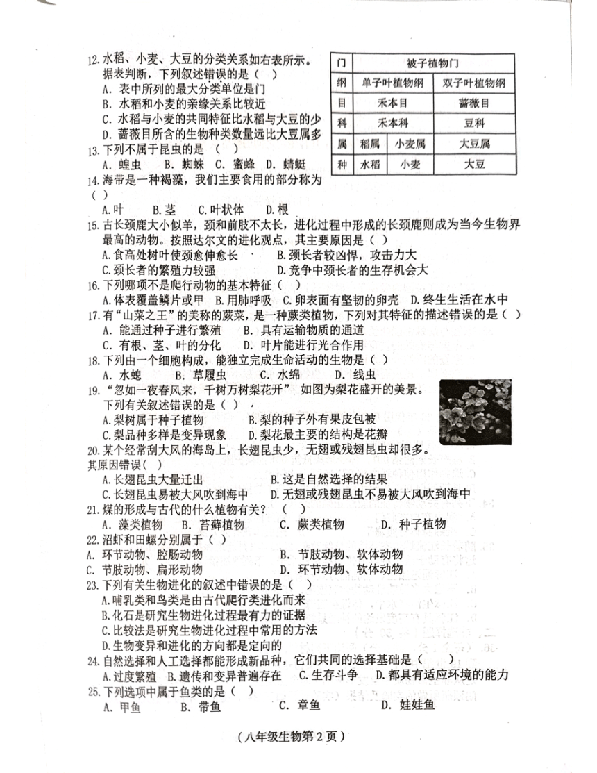 海南省省直辖县级行政单位临高县2023-2024学年八年级下学期5月期中生物试题（PDF版无答案）