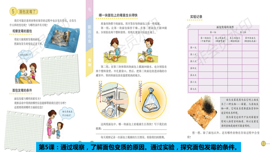 教科版小学科学四年级下册《食物》单元复习（课件27PPT）