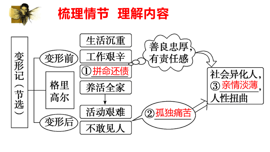 14.2《变形记》课件（共24张PPT）2023-2024学年统编版高中语文必修下册