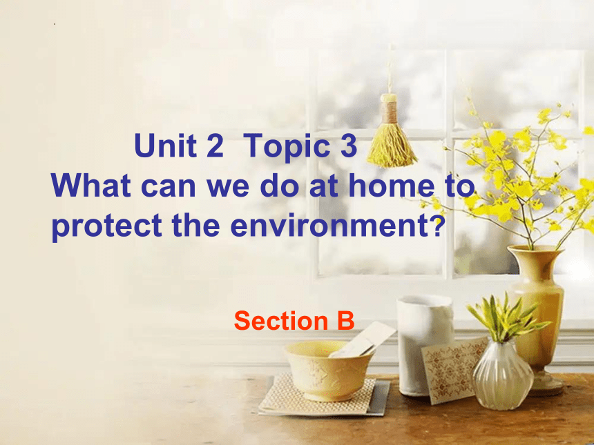 Unit 2  Topic 3 What  can we do to protect the environment? Section B 课件(共19张PPT) 2022-2023学年仁爱版英语九年