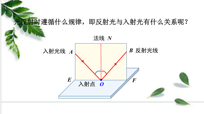 北师大版数学八年级上册5.2 光的反射 课件（23张ppt)